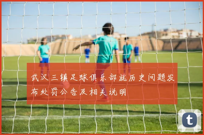 武汉三镇足球俱乐部就历史问题发布处罚公告及相关说明