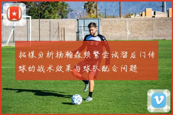 拓媒分析杨瀚森频繁尝试溜后门传球的战术效果与球队配合问题