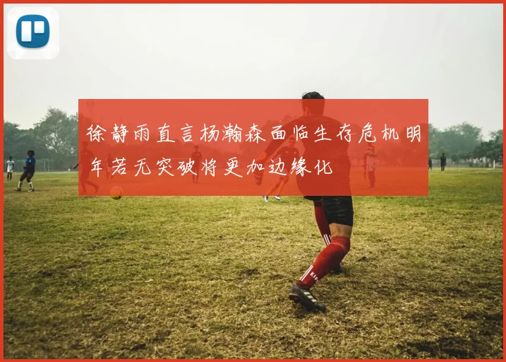 徐静雨直言杨瀚森面临生存危机明年若无突破将更加边缘化