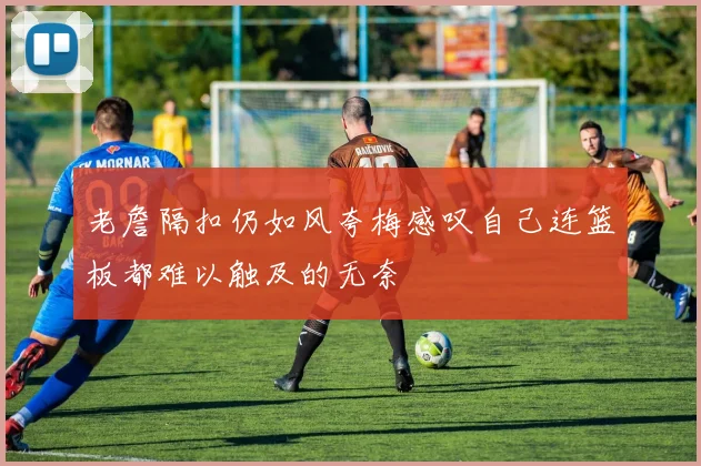 老詹隔扣仍如风夸梅感叹自己连篮板都难以触及的无奈